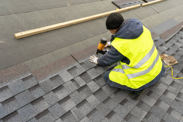 Best Shingle Roofing Installation  in Audubon, IA