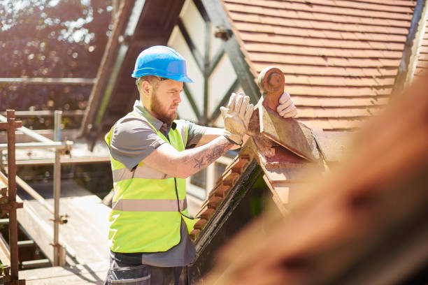Best Roof Leak Repair  in Audubon, IA